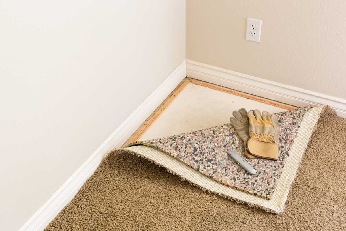 Is Carpet a Necessity or a Thing of the Past?